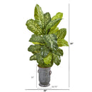 49” Dieffenbachia Artificial Plant in Vintage Metal Planter (Real Touch)