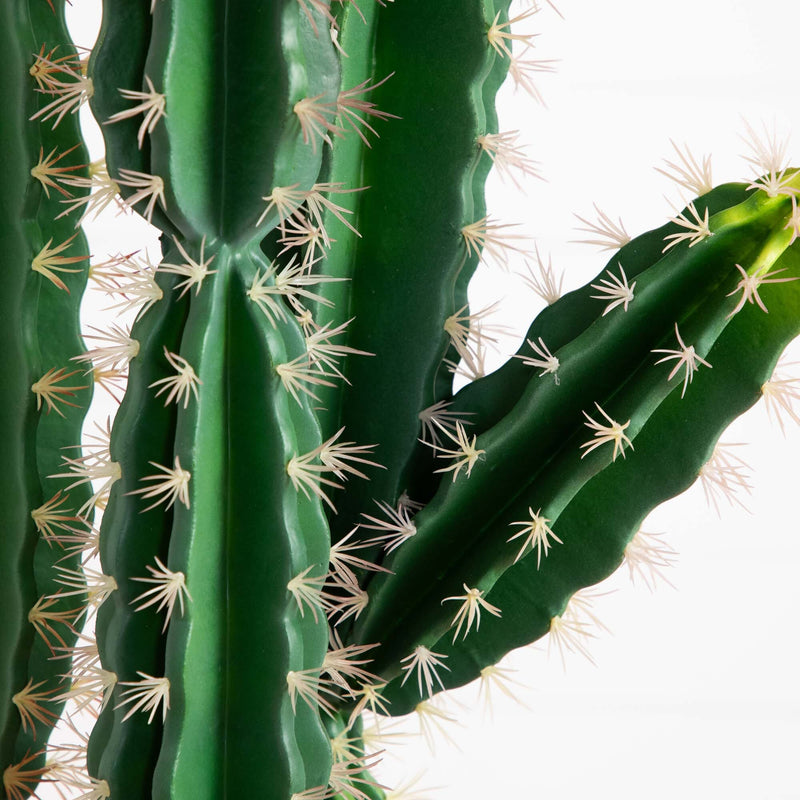 Nearly Natural 5 ft. Artificial Cactus in Terracotta Planter