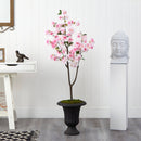 5’ Cherry Blossom Tree in Charcoal Urn