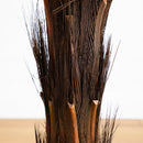 5’ Cycas Tree UV Resistant (In-door/Out-Door)
