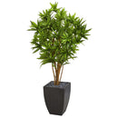 5' Dracaena Artificial Tree in Black Planter