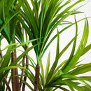 5’ Dracaena Silk Tree