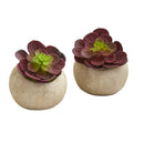 5” Echeveria Succulent Artificial Plant in Gray Planter (Set of 2)
