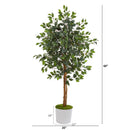 5’ Ficus Artificial Tree in White Tin Planter