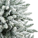 5’ Flocked West Virginia Spruce Christmas Tree with 200 Clear Lights and 604 Bendable Branches