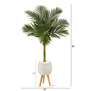 5’ Golden Cane Artificial Palm Tree in White Planter with Stand