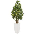 5’ Schefflera Artificial Tree in White Tower Planter