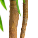 5’ Willow Artificial Tree  (Real Touch)