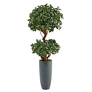 51” Sweet Bay Double Ball Topiary Artificial Tree in Gray Planter