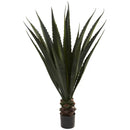 52” Giant Agave Plant