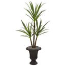 53” Triple Yucca Artificial Plant in Charcoal Urn