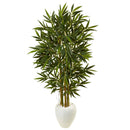 5.5’ Bamboo Tree in White Oval Planter