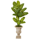 55” Dieffenbachia Artificial Plant in Sand Finished Urn (Real Touch)
