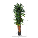 5.5’ Dracaena Artificial Tree with Natural Cane Trunk