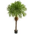 5.5’ Robellini Palm Artificial Tree