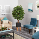 5.5’ Super Deluxe Artificial Ficus Tree in Black Planter with Stand