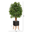 5.5’ Super Deluxe Artificial Ficus Tree in Black Planter with Stand