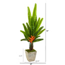 55” Traveler's Palm Artificial Tree in Country White Planter