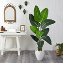 5.5’ Traveler's Palm Artificial Tree in White Planter
