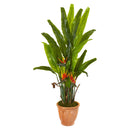 56” Bird of Paradise Artificial Plant in Terra-Cotta Planter