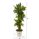 56” Corn Stalk Dracaena Artificial Plant in Planter (Real Touch)