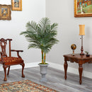57” Golden Cane Artificial Palm Tree in Decorative Urn