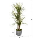 59” Yucca Artificial Tree in Black Embossed Tin Planter