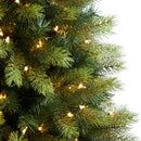 6' Aspen Mountain Fir Christmas Tree with 350 Clear LED Lights and 1110 Bendable Branches