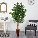 6' Ficus Tree w/Bamboo Planter