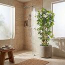 6' Multi Bambusa Bamboo Silk Tree