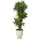61” Corn Stalk Dracaena Artificial Plant in Decorative Urn (Real Touch)