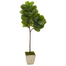 62” Fiddle Leaf Artificial Tree in Country White Planter