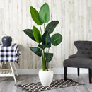63” Traveler's Palm Artificial Tree in White Planter