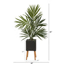 64” Kentia Artificial Palm Tree in Black Planter with Stand