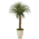 64” Pony Tail Palm Artificial Plant in Decorative Urn