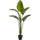 64” Traveler's Palm Tree UV Resistant (Indoor/Outdoor)