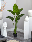 64” Traveler's Palm Tree UV Resistant (Indoor/Outdoor)