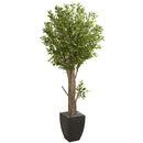 6.5’ Olive Artificial Tree in Black Planter