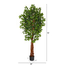 6.5’ Super Deluxe Ficus Artificial Tree with Natural Trunk