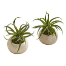 7” Air Plant Succulent Artificial Plant in Stone Planter (Set of 2)