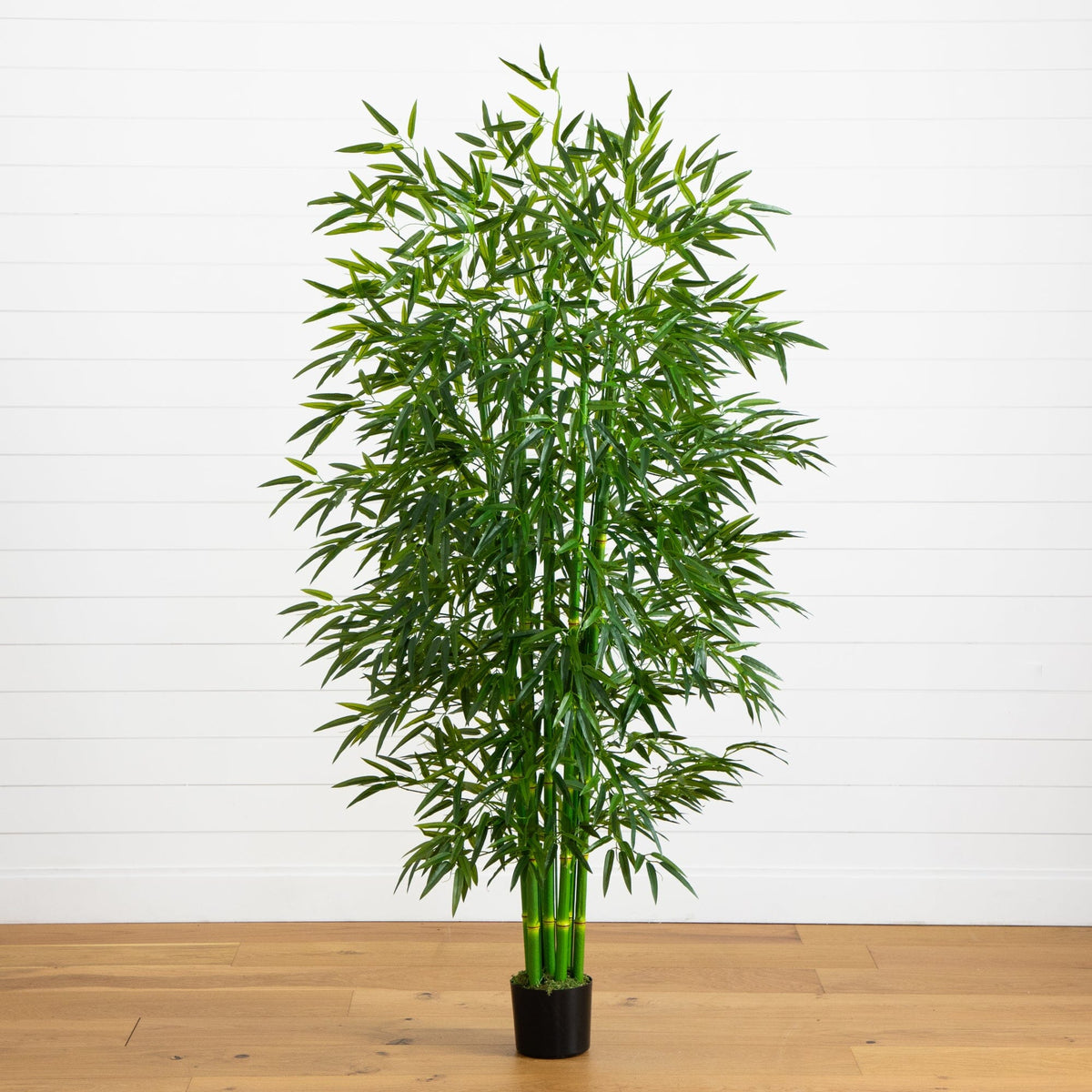 Blumarine - bamboo　合計3点おまとめ artificial-7-bamboo-tree-uv-