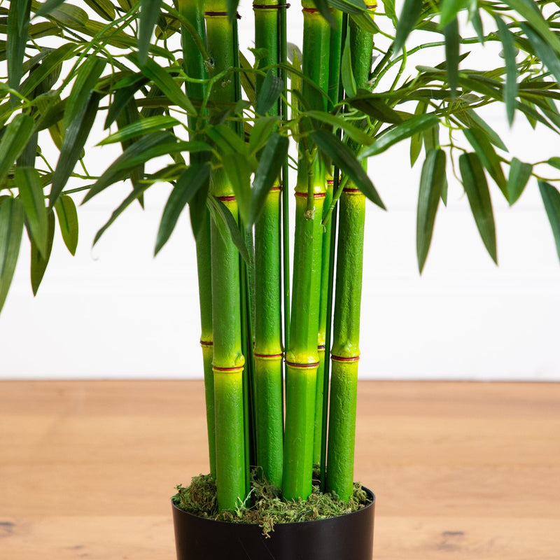 bamboo tree plant indoor 7' Bamboo Tree UV Resistant (Indoor/Outdoor)
