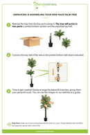 7’ Double Robellini Palm Tree UV Resistant (Indoor/Outdoor)