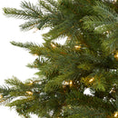 7’ North Carolina Spruce Artificial Christmas Tree with 450 Clear Lights and 931 Bendable Branches