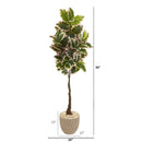 70” Variegated Rubber Leaf Artificial Tree in Sandstone Planter (Real Touch)
