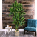 71” Areca Palm Artificial Tree in Country White Planter