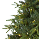 7.5’ Colorado Mountain Fir “Natural Look” Artificial Christmas Tree with 600 Clear LED Lights and 3048 Bendable Branches