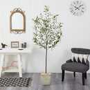 75” Olive Artificial Tree in Country White Planter