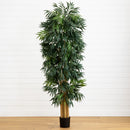 7.5’ Phoenix Palm Tree