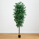 8’ Ficus Tree w/1512 Lvs